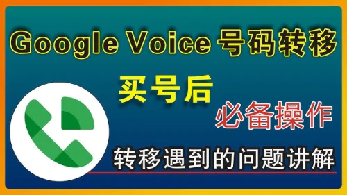 2025最新Google Voice号码转移方法操作教程：一文教你快速完成号码迁移