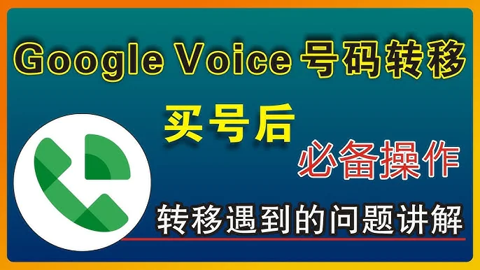 2025最新Google Voice号码转移方法操作教程：一文教你快速完成号码迁移